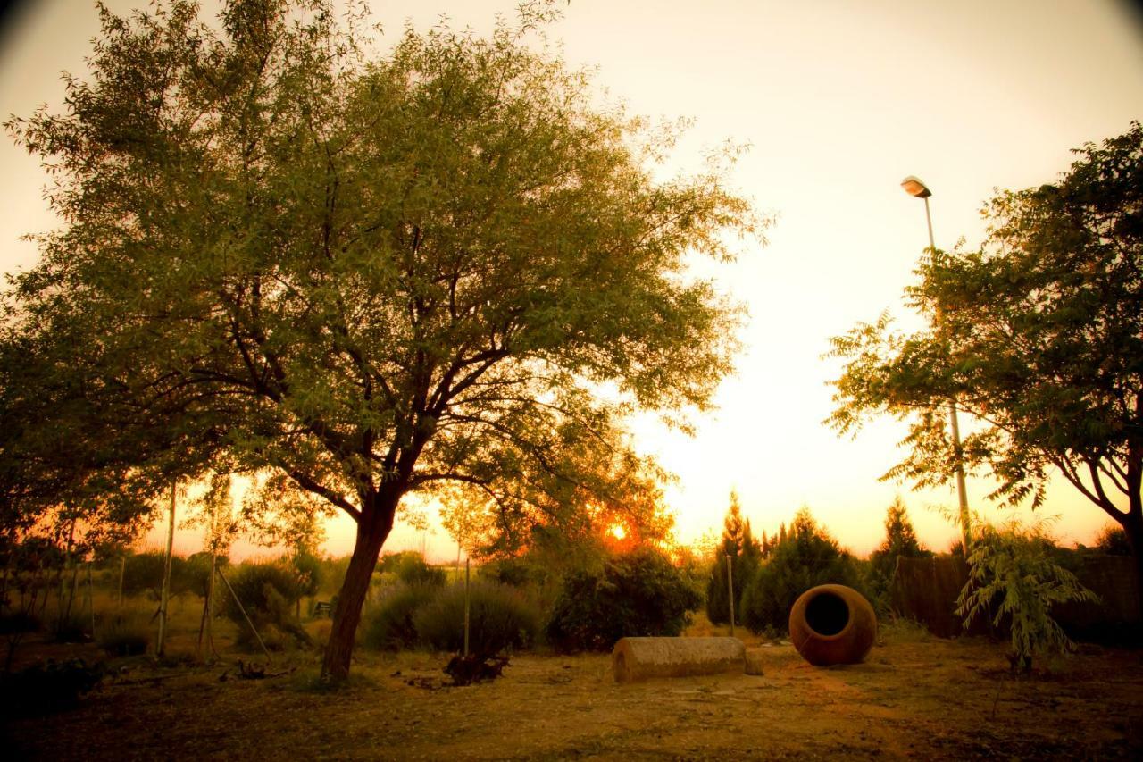 Las Candelas Casas De Los Pinos ภายนอก รูปภาพ